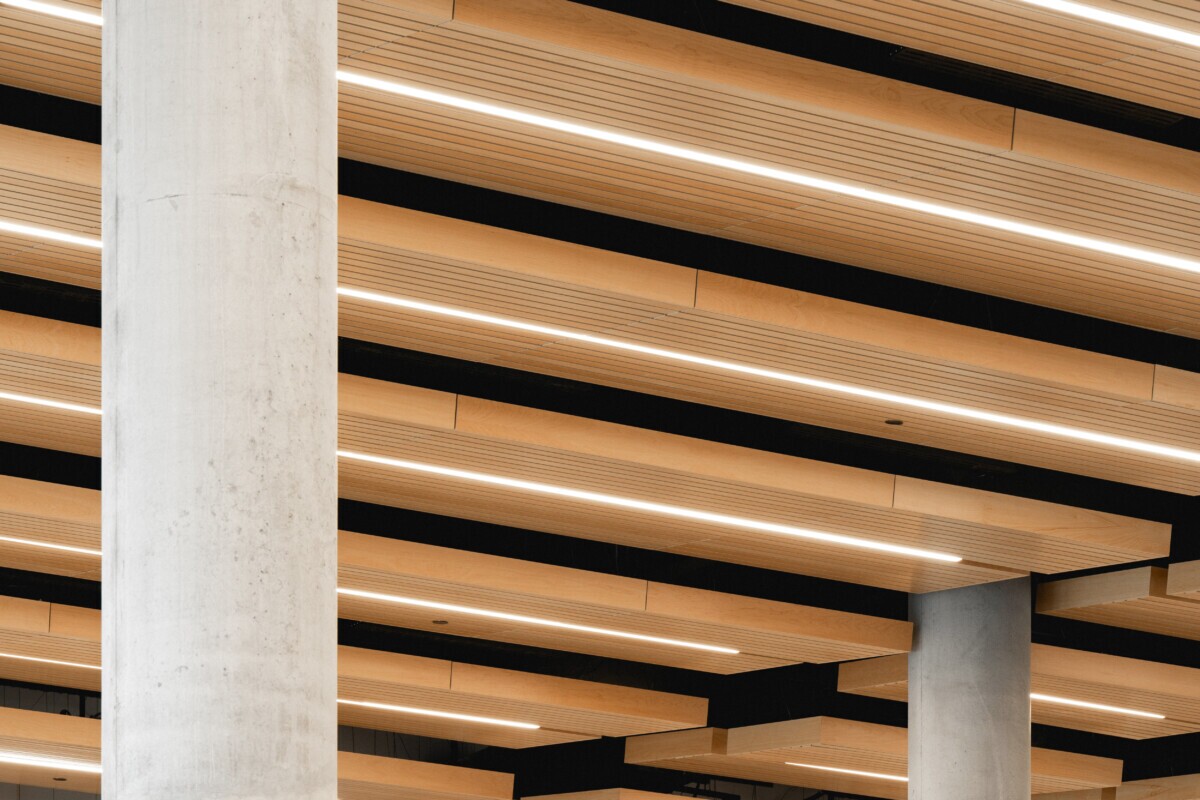 Irma LeVasseur Anjou Tignum suspended plank ceiling with integrated linear LED lighting and concrete columns.
