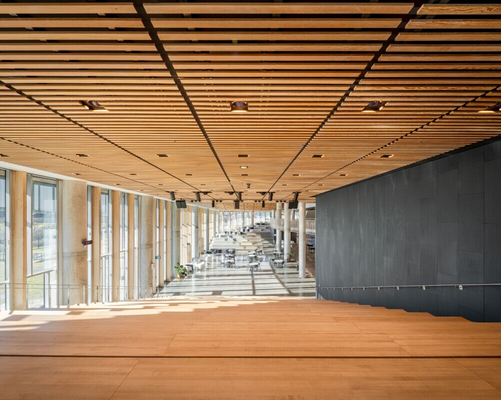 Maxxit's custom wood LINE:Form product on the ceiling of a California High School's open format student space.