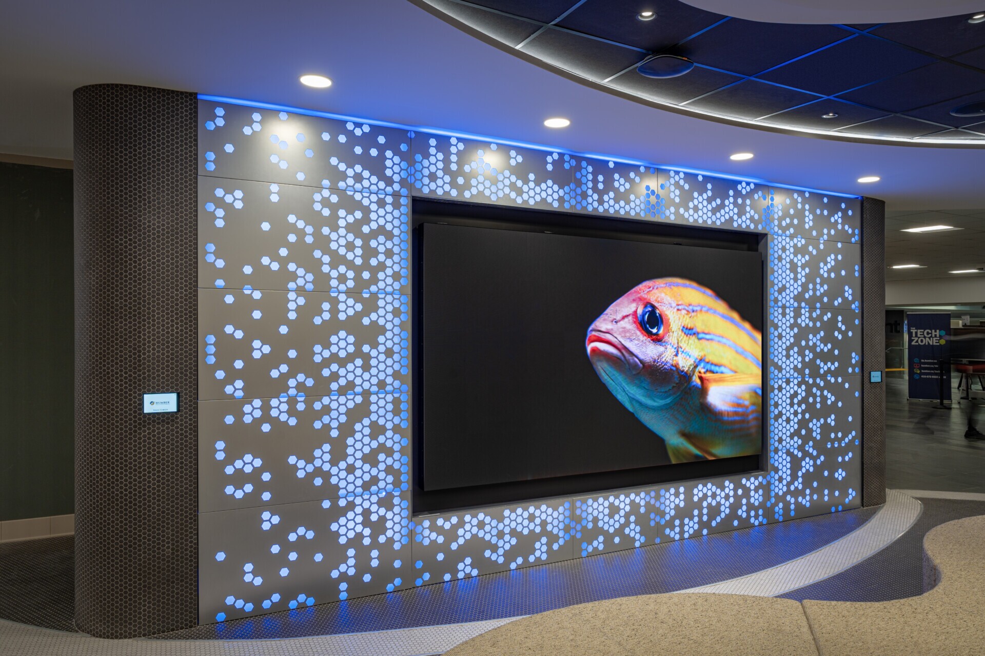 Color-changing lighting effects at Humber College using Maxxit's PANEL:Form Backlit Wall Panels