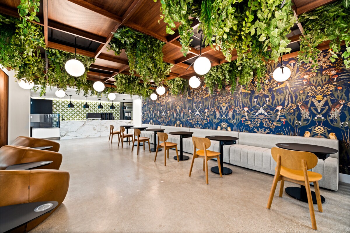 Modern cafe seating at Jilani Group with Agilis Networks open cell ceiling panels.