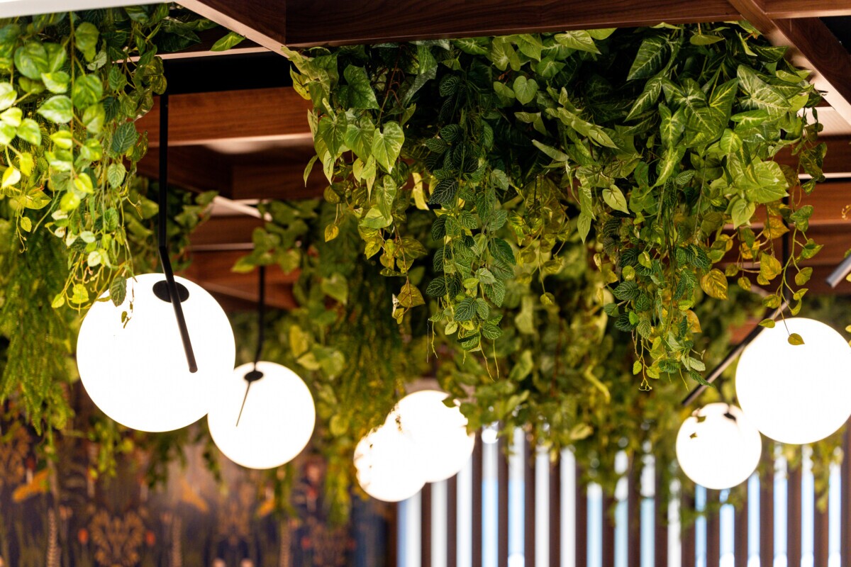 Agilis acoustic ceiling at Jilani Group integrated with hanging greenery and globe pendant lights.