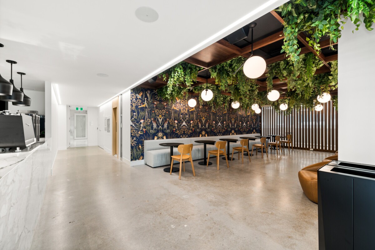 Wide view of Jilani Group cafe showcasing Agilis Networks open-cell ceiling system.