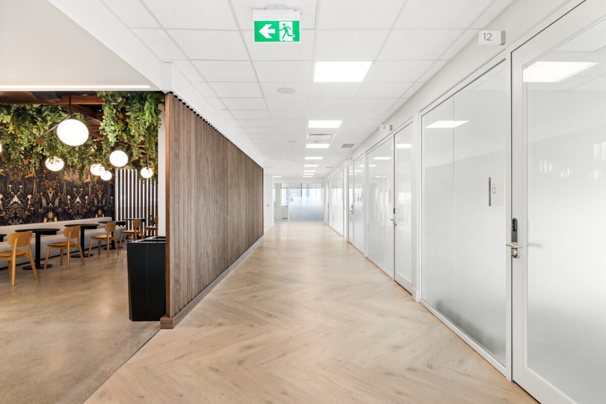 Modern hallway at Jilani Group featuring Protero vertical wall slats and acoustic ceiling panels.